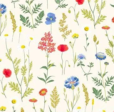 Fleur des Champs Ivoire